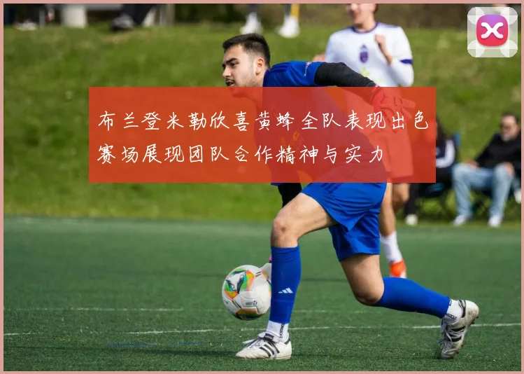 布兰登米勒欣喜黄蜂全队表现出色赛场展现团队合作精神与实力