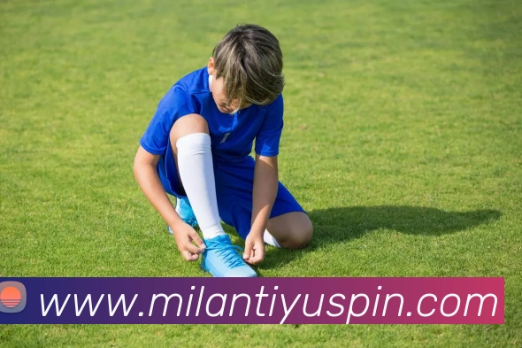 米兰体育平台生态图