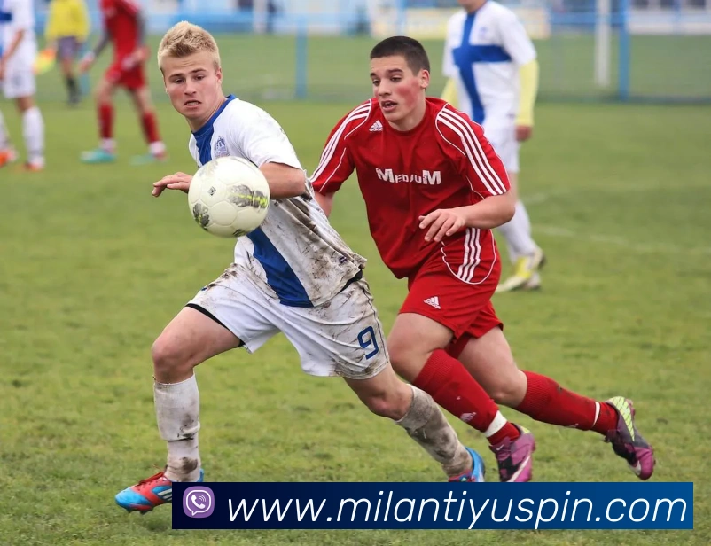 米兰体育APP 封面图